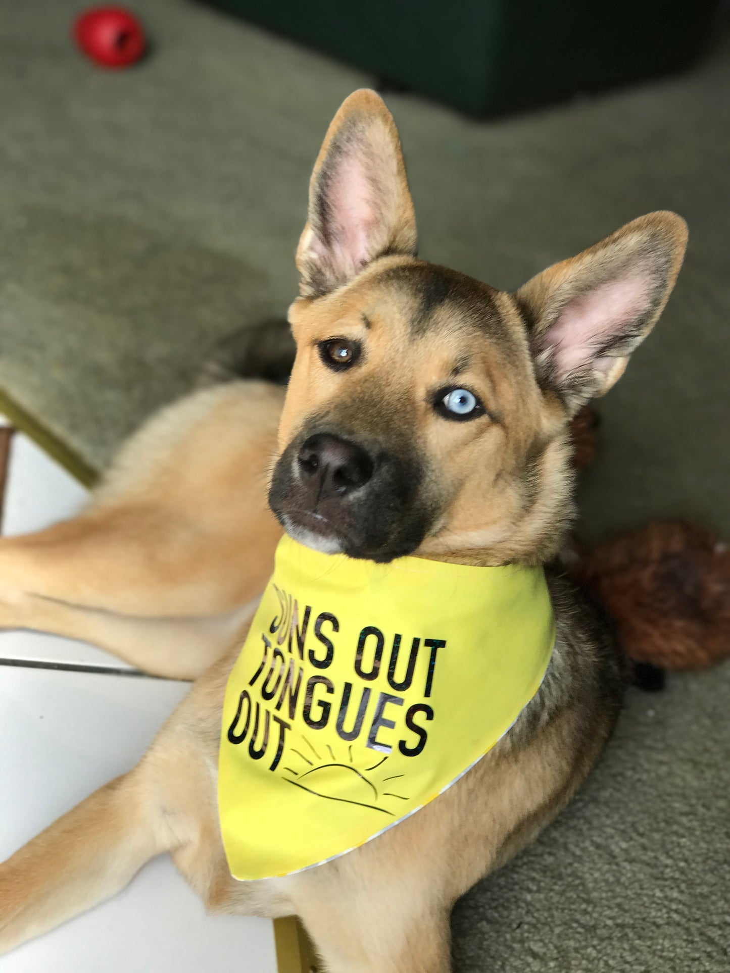 Suns out Tongues Out