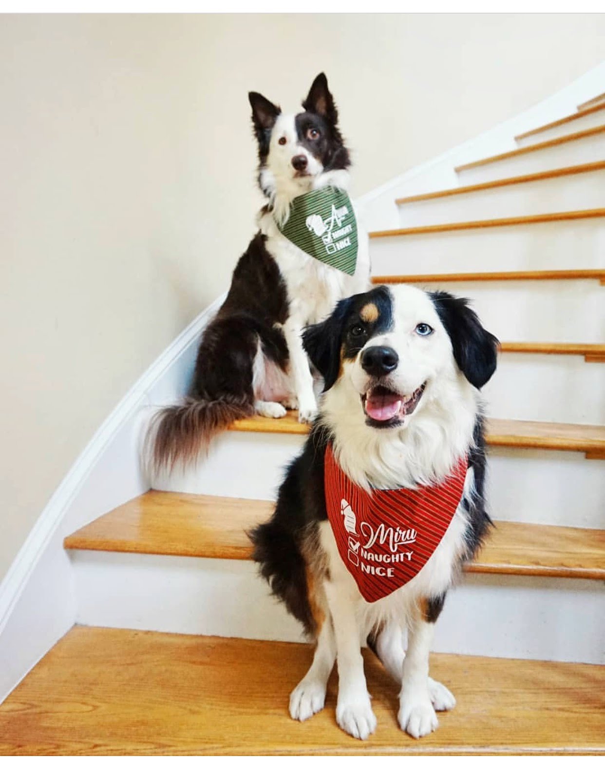 Naughty or Nice Name