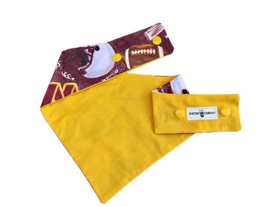 Washington Football