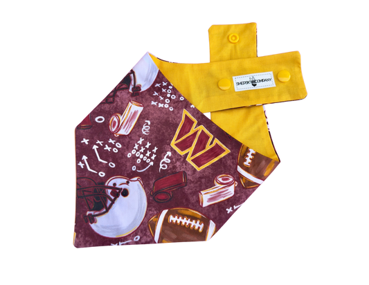 Washington Football
