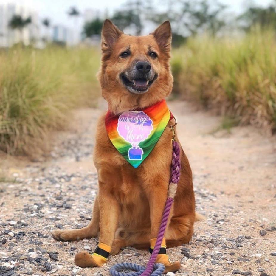 "Adventure is out there" Design