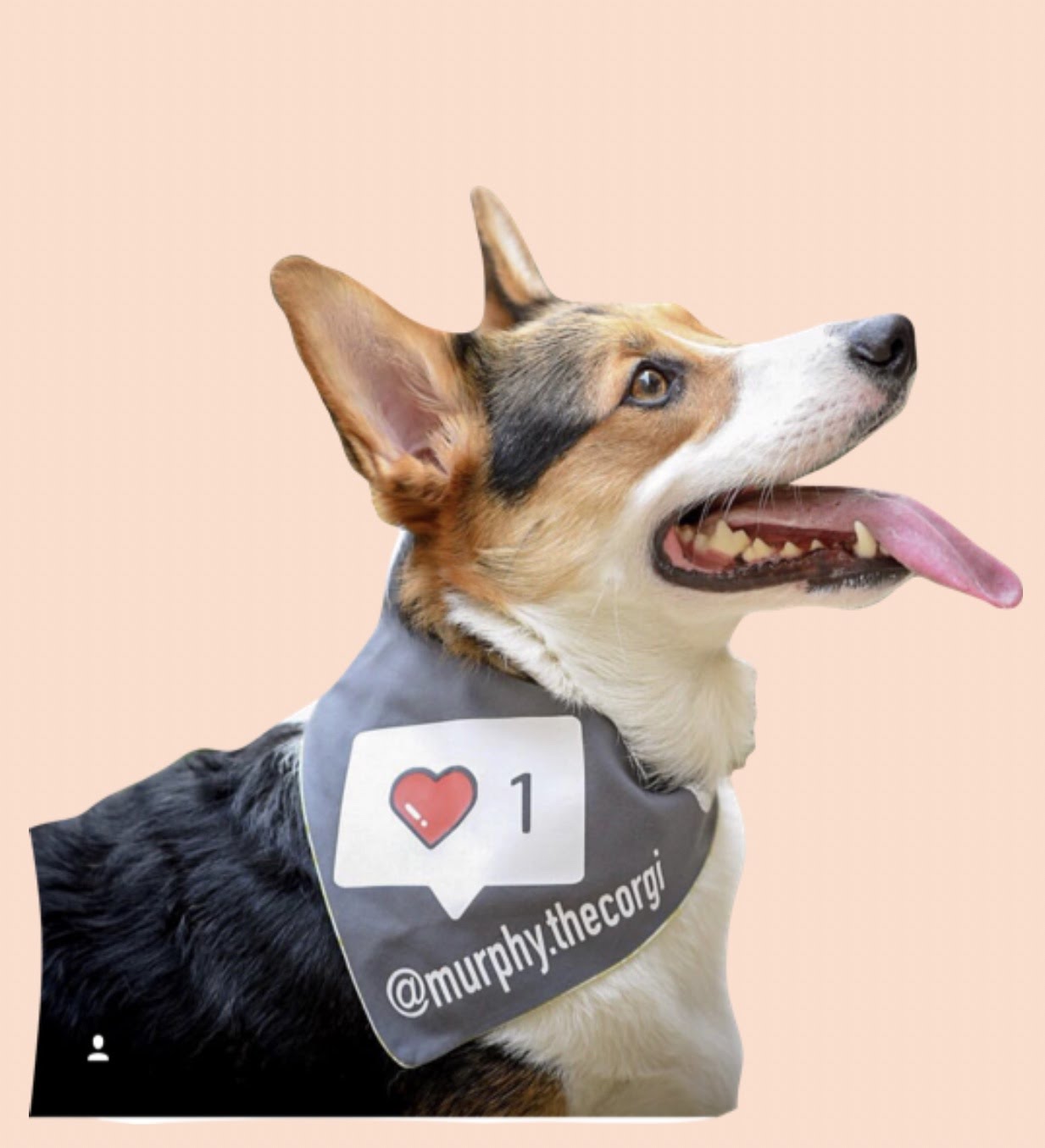 Insta-Like with IG Handle